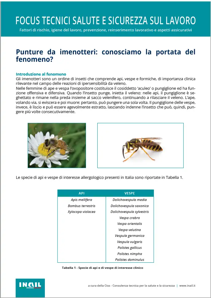 Punture da imenotteri: conosciamo la portata del fenomeno Punture da imenotteri: conosciamo la portata del fenomeno
